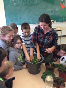 Watering Plants