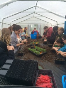 Community Garden Workshop